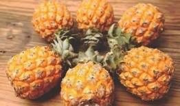 泰国小菠萝爆料视频播放,揭秘视频播放背后的惊人真相